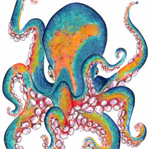 illustration, illustratrice Claire Foncé