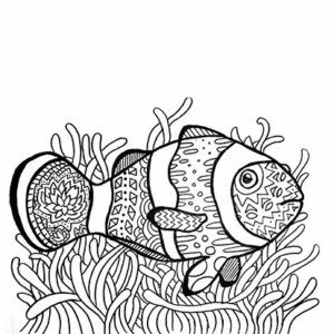 illustration dessin jeunesse coloriage