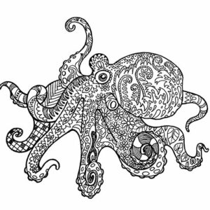 illustration dessin jeunesse coloriage