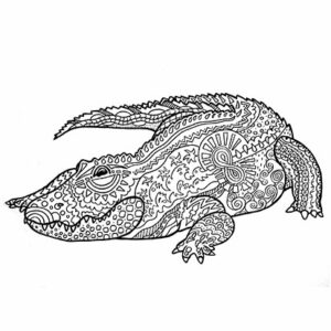 illustration dessin jeunesse coloriage