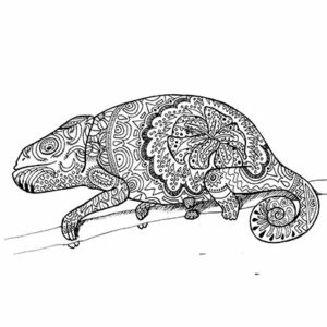 illustration dessin jeunesse coloriage