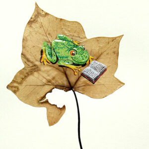 illustration dessin jeunesse aquarelle