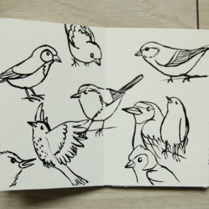 illustration dessin jeunesse croquis encre