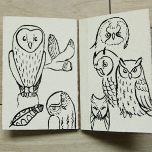 illustration dessin jeunesse croquis encre