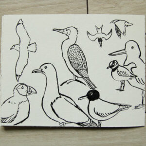 illustration dessin jeunesse croquis encre