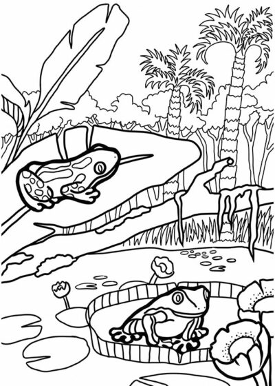 Pochette de coloriages : Mes animaux à colorier – Image 5