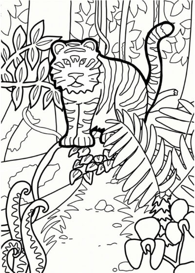 Pochette de coloriages : Mes animaux à colorier – Image 6