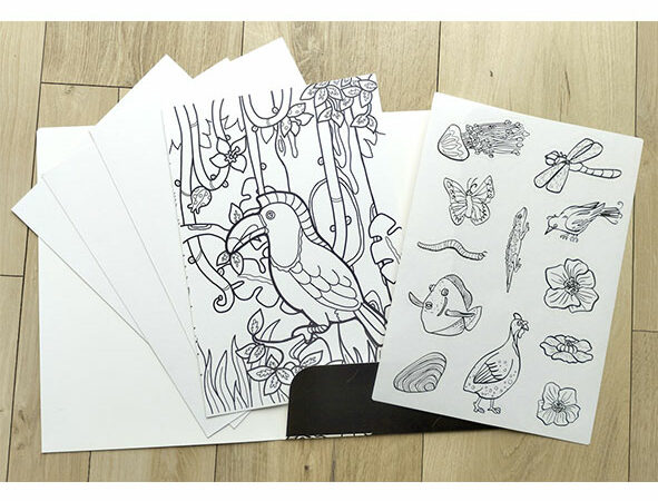 Pochette de coloriages : Mes animaux à colorier