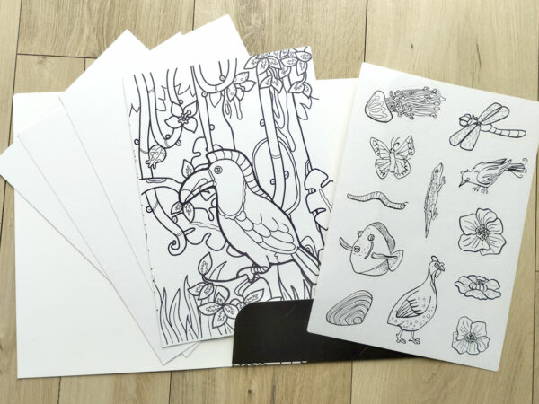 Pochette de coloriages : Mes animaux à colorier