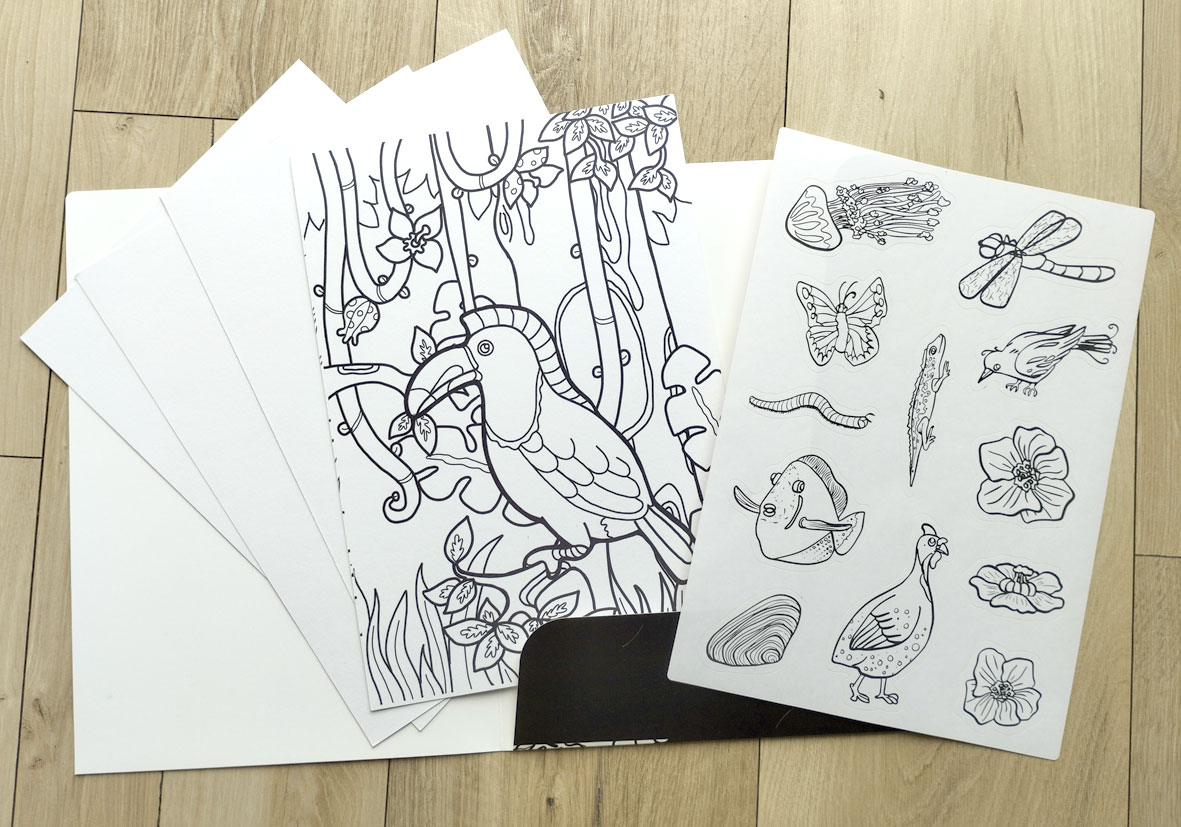 pochette coloriage animaux