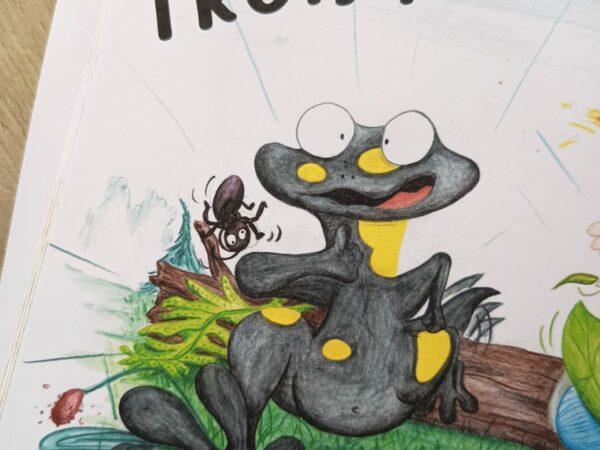 Livre : Les ennuyeux ennuis de FIONA
