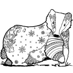 illustration dessin jeunesse coloriage