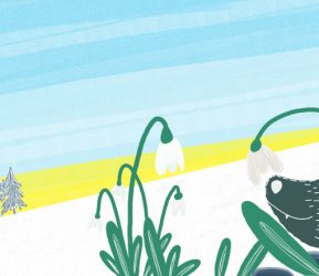 livre enfant - où es-tu petit loup ? livre en cours de réalisation